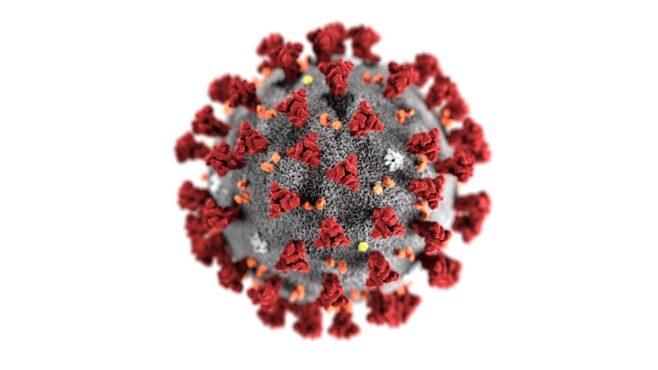 Coronavirus Omicron Variant Found In Wisconsin